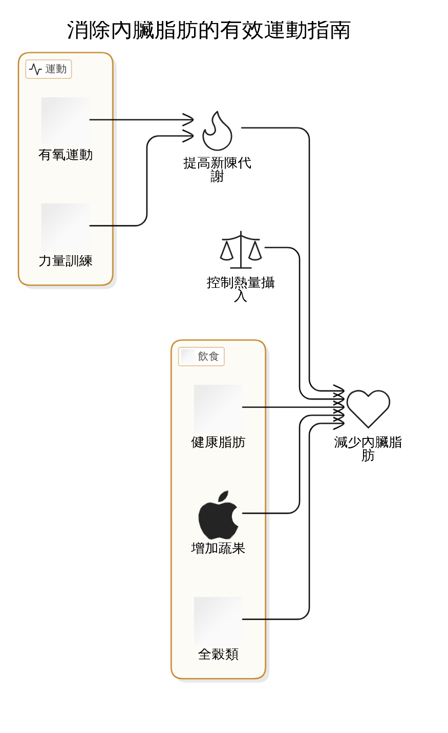 實戰指南：消除內臟脂肪的運動步驟與技巧