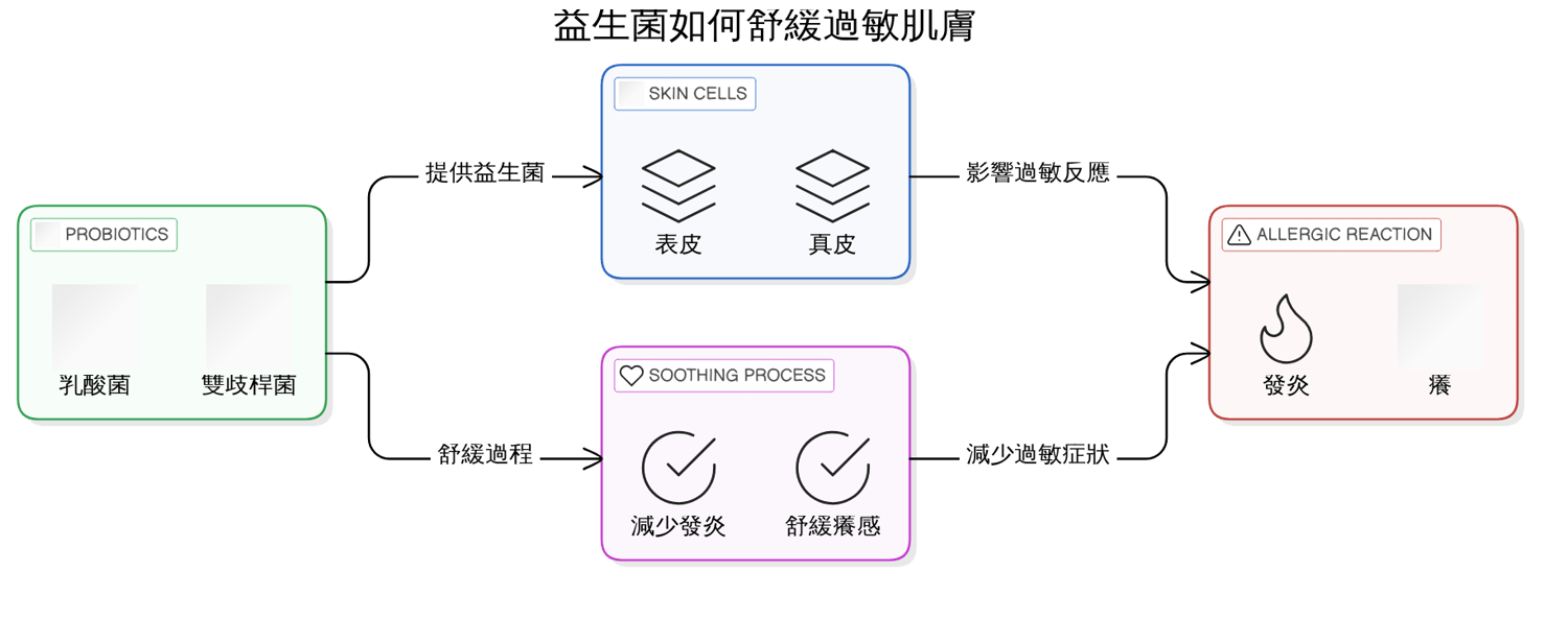 DIY益生菌面膜：在家就能輕鬆呵護你的過敏肌膚